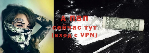 молекула духа Богданович