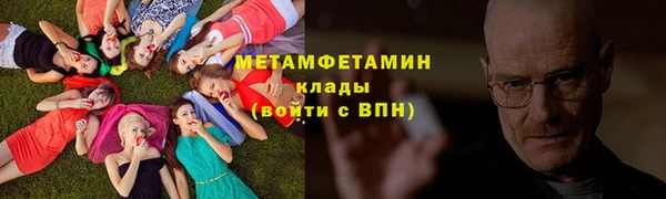 молекула духа Богданович