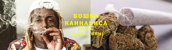 молекула духа Богданович