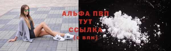 сатива Богородицк