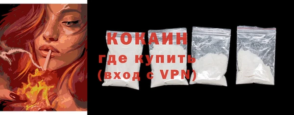 молекула духа Богданович