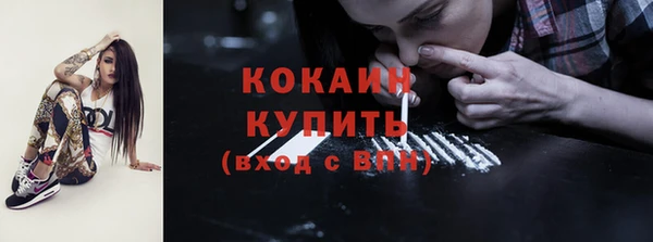 сатива Богородицк