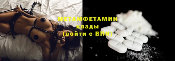 молекула духа Богданович