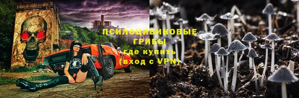 ГАЛЛЮЦИНОГЕННЫЕ ГРИБЫ Дмитров