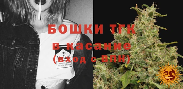 молекула духа Богданович
