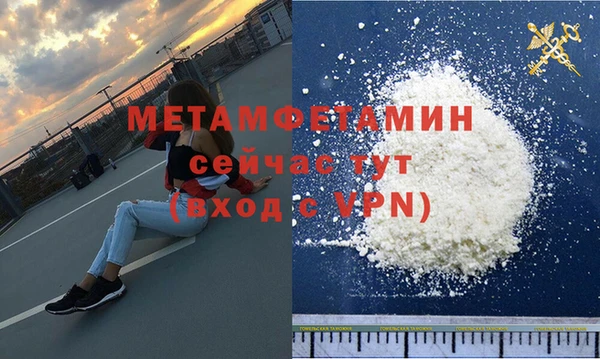 молекула духа Богданович