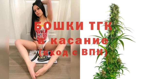 сатива Богородицк