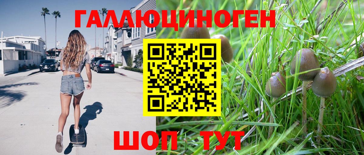 Галлюциногенные грибы Cubensis Бор