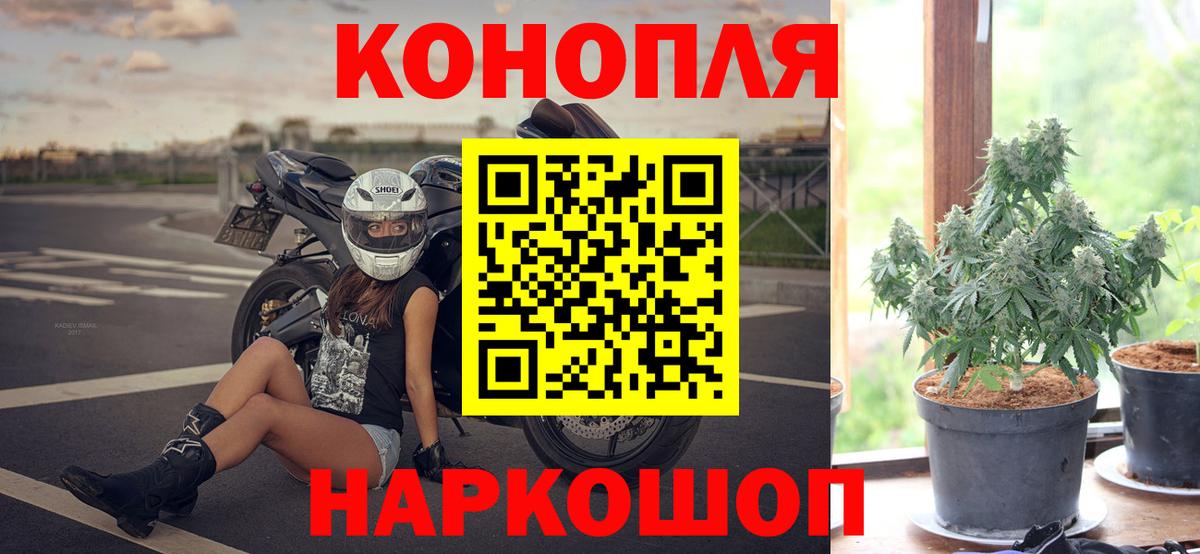Бошки Шишки семена  Вход с VPN  Бор  Конопля планчик  МАРИХУАНА Bruce Banner 